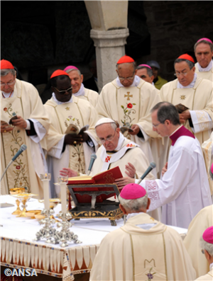 Papstmesse in Assisi, um den Papst Kardinäle der C8, von links Pell, Monsengwo Pasinya, Gracias und Maradiaga