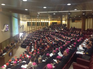 Tagung der Bischofssynode im Oktober 2014